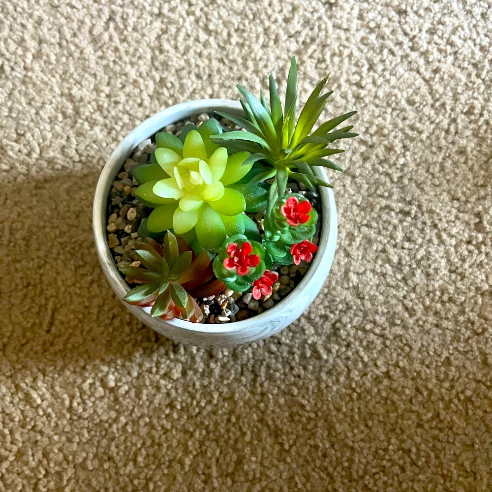 Faux Plant